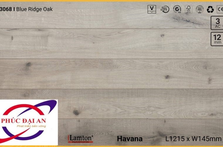 Sàn gỗ Lamton D3068 Blue Ridge Oak – 12mm – AC3