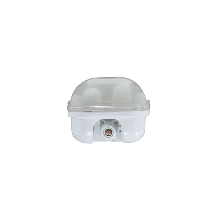 Bộ đèn LED Tuýp Chống ẩm T8 18Wx2 (D LN CA01L/18Wx2) - Rạng Đông