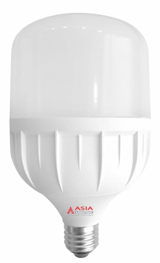 Đèn tròn trụ 40W - 02 (DTR-10W) - Asia