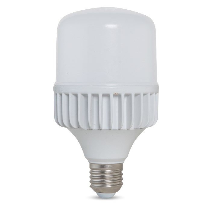 Bóng đèn LED BULB Trụ nhôm đúc TR80NĐ2/20W - Rạng Đông