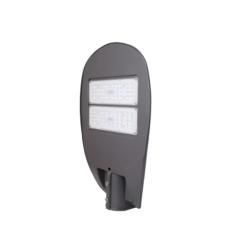 Đèn đường LED 60W (D CSD03L/60W) - Rạng Đông