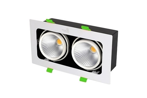 Đèn LED Âm Trần Sportlight đôi 20W - GL -2*10-V Kingled