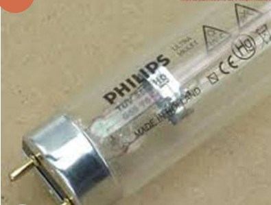 Bóng đèn UV diệt khuẩn T8 Philips TUV 36w