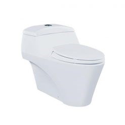 Bồn cầu 1 khối CW823NW/F - TOTO